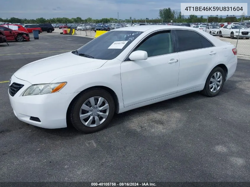 2009 Toyota Camry Le VIN: 4T1BE46K59U831604 Lot: 40105758