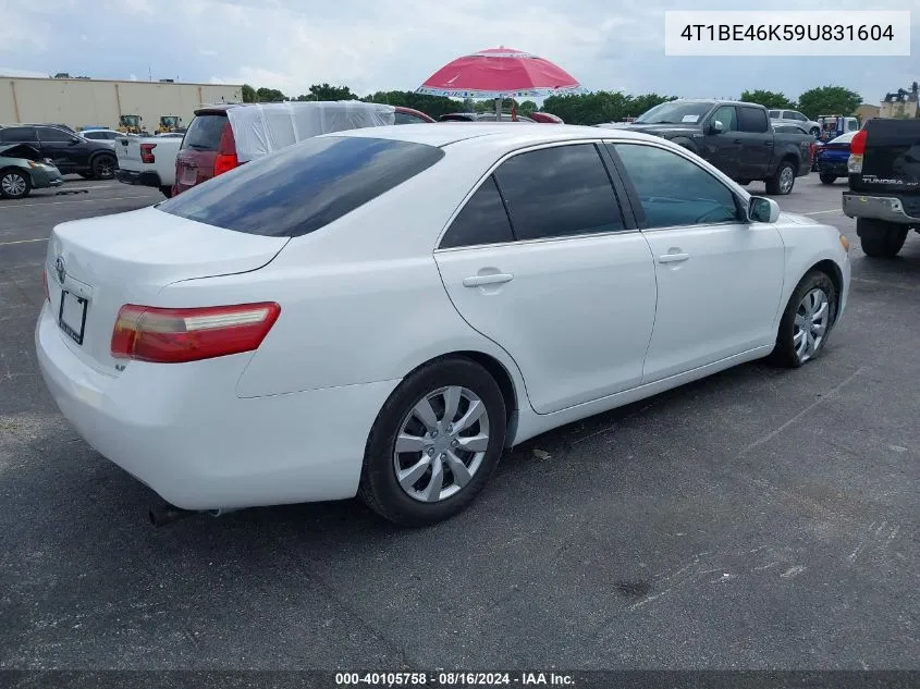 2009 Toyota Camry Le VIN: 4T1BE46K59U831604 Lot: 40105758