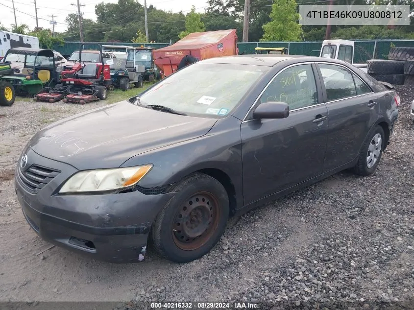 2009 Toyota Camry Le VIN: 4T1BE46K09U800812 Lot: 40216332