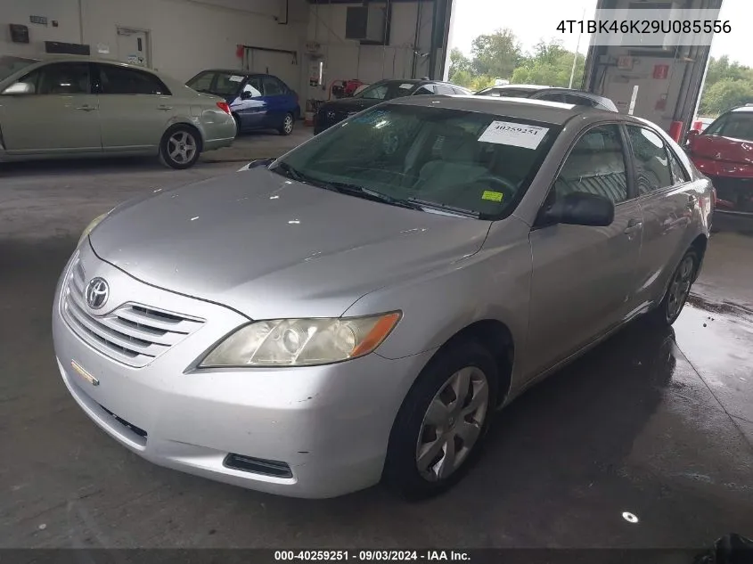 4T1BK46K29U085556 2009 Toyota Camry Le V6