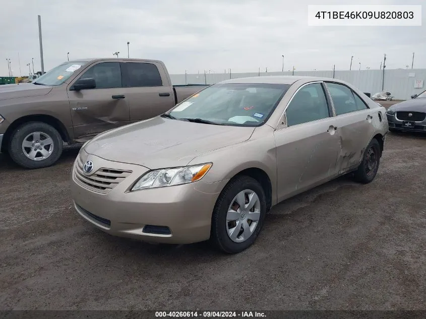 4T1BE46K09U820803 2009 Toyota Camry Se/Le/Xle