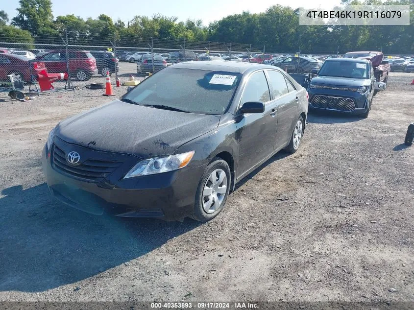 2009 Toyota Camry Se/Le/Xle VIN: 4T4BE46K19R116079 Lot: 40353893