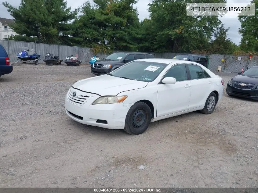 2009 Toyota Camry Le VIN: 4T1BE46K59U856213 Lot: 40431258