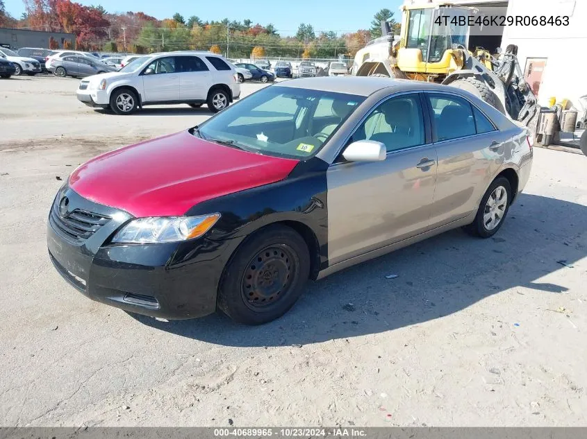 2009 Toyota Camry Le VIN: 4T4BE46K29R068463 Lot: 40689965