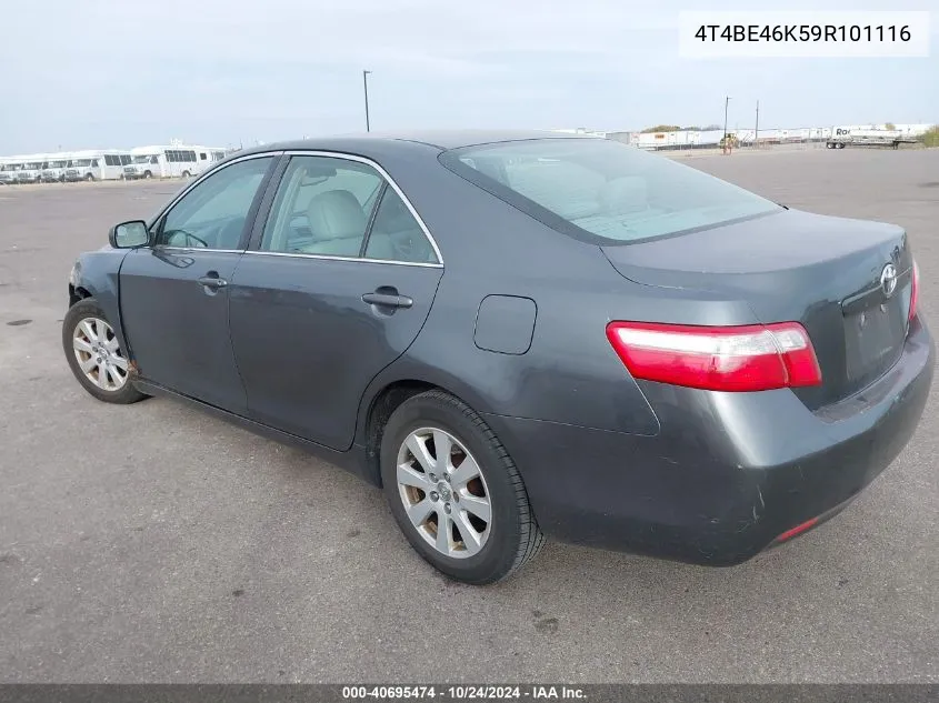 2009 Toyota Camry Xle VIN: 4T4BE46K59R101116 Lot: 40695474