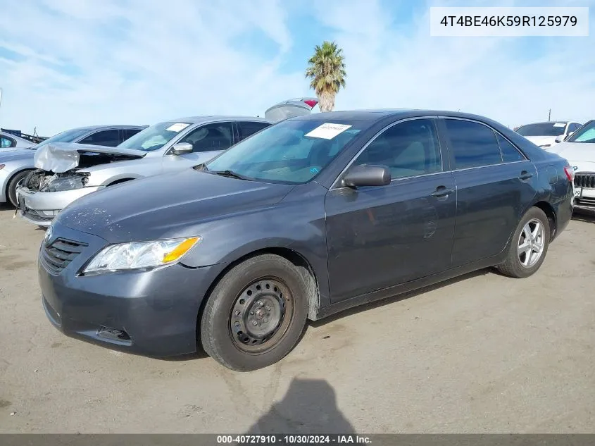 2009 Toyota Camry Le VIN: 4T4BE46K59R125979 Lot: 40727910