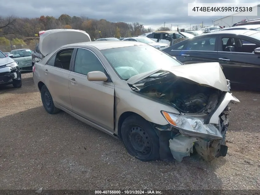 2009 Toyota Camry Le VIN: 4T4BE46K59R125318 Lot: 40755000