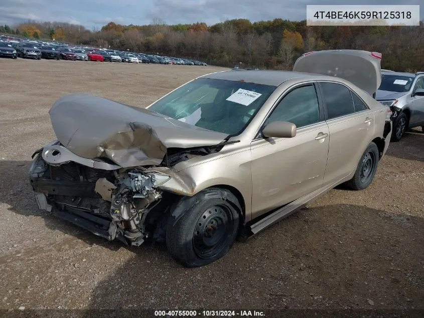 2009 Toyota Camry Le VIN: 4T4BE46K59R125318 Lot: 40755000