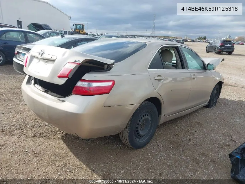 4T4BE46K59R125318 2009 Toyota Camry Le