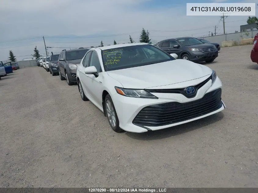 2020 Toyota Camry Le VIN: 4T1C31AK8LU019608 Lot: 12070290