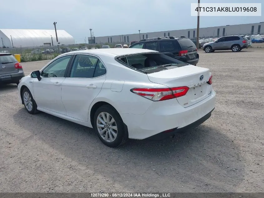 2020 Toyota Camry Le VIN: 4T1C31AK8LU019608 Lot: 12070290