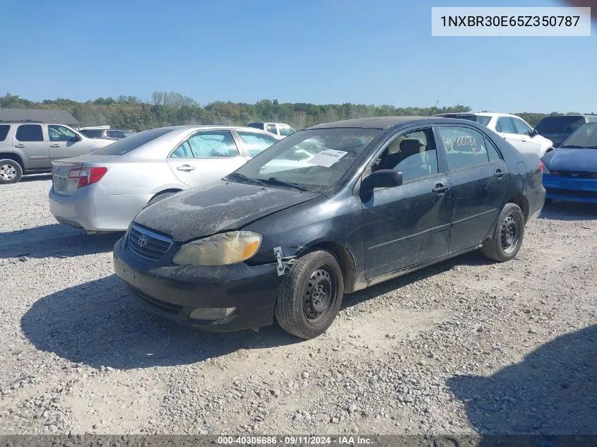 2005 Toyota Corolla Le VIN: 1NXBR30E65Z350787 Lot: 40306686