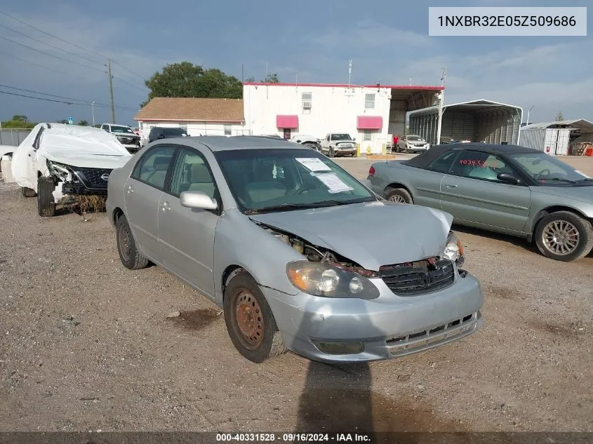 2005 Toyota Corolla Ce/Le/S VIN: 1NXBR32E05Z509686 Lot: 40331528