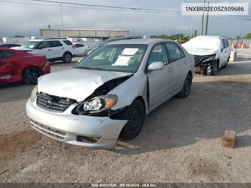 2005 Toyota Corolla Ce/Le/S VIN: 1NXBR32E05Z509686 Lot: 40331528