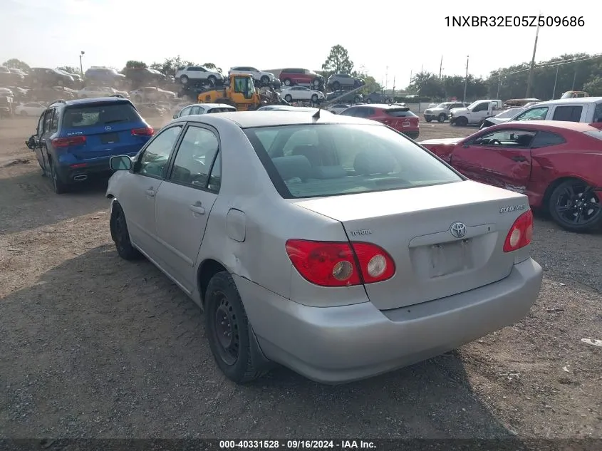 2005 Toyota Corolla Ce/Le/S VIN: 1NXBR32E05Z509686 Lot: 40331528