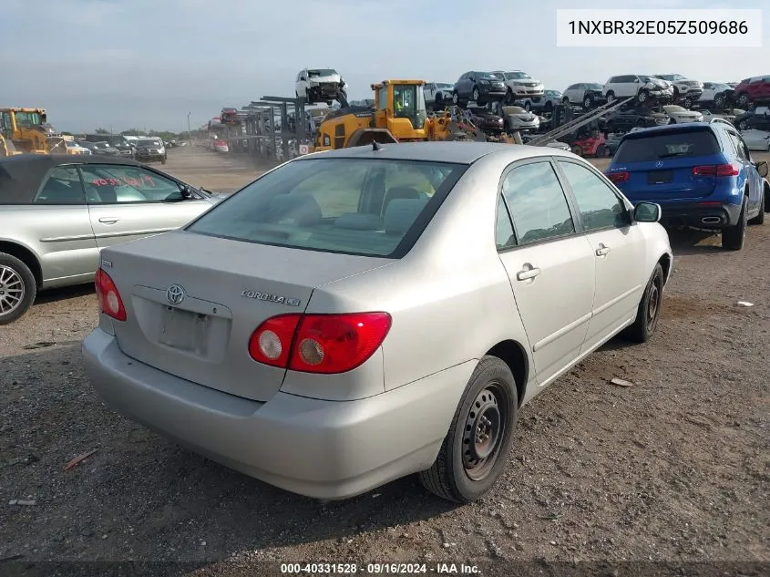 2005 Toyota Corolla Ce/Le/S VIN: 1NXBR32E05Z509686 Lot: 40331528