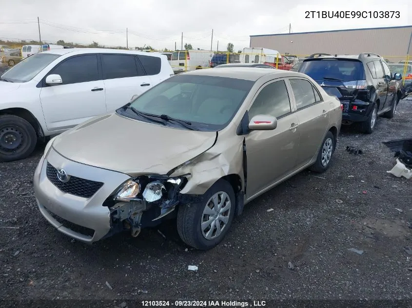 2009 Toyota Corolla VIN: 2T1BU40E99C103873 Lot: 12103524