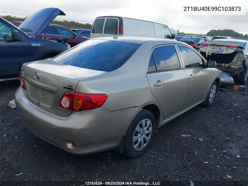 2009 Toyota Corolla VIN: 2T1BU40E99C103873 Lot: 12103524