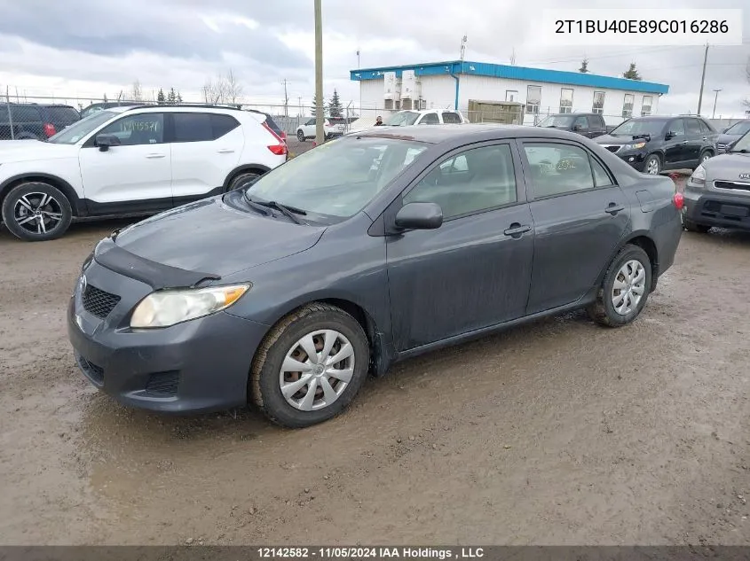 2009 Toyota Corolla S/Le/Xle VIN: 2T1BU40E89C016286 Lot: 12142582