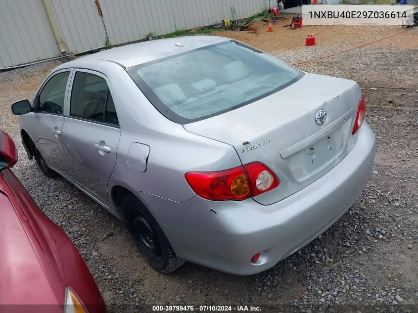 1NXBU40E29Z036614 2009 Toyota Corolla Le