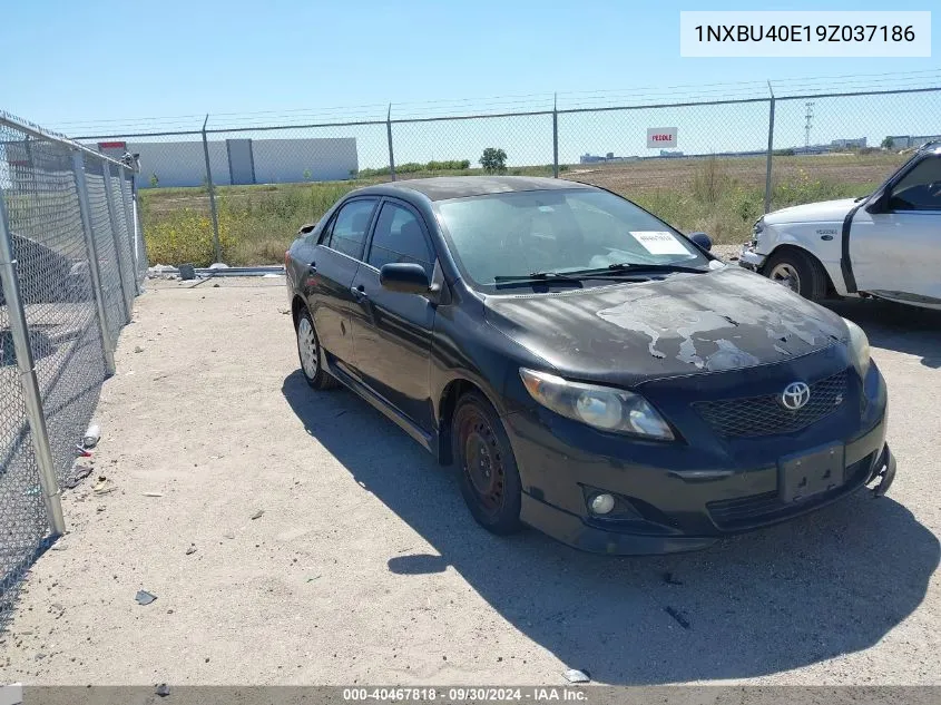 2009 Toyota Corolla S VIN: 1NXBU40E19Z037186 Lot: 40467818