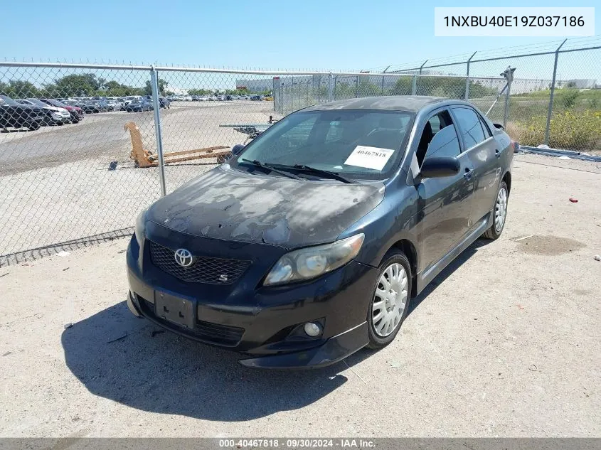 1NXBU40E19Z037186 2009 Toyota Corolla S