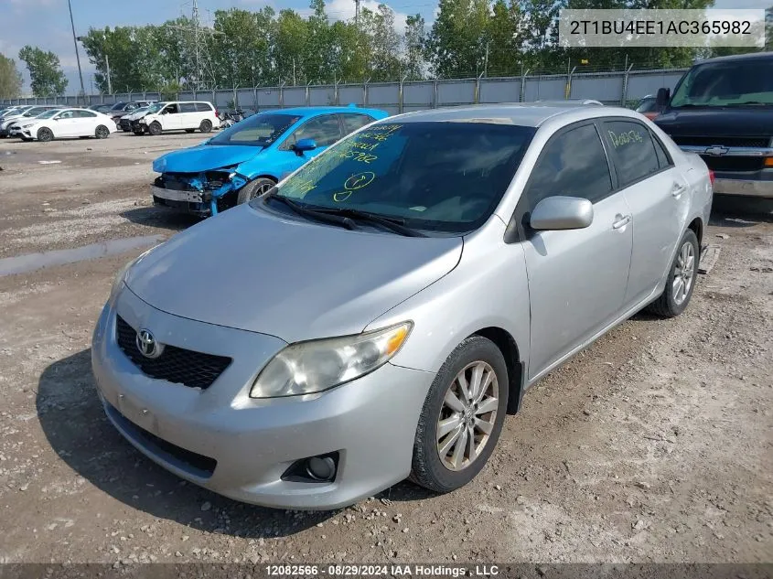 2010 Toyota Corolla S/Le/Xle VIN: 2T1BU4EE1AC365982 Lot: 12082566