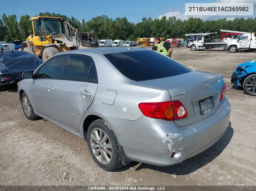 2010 Toyota Corolla S/Le/Xle VIN: 2T1BU4EE1AC365982 Lot: 12082566