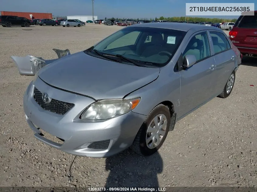 2010 Toyota Corolla VIN: 2T1BU4EE8AC256385 Lot: 12083273