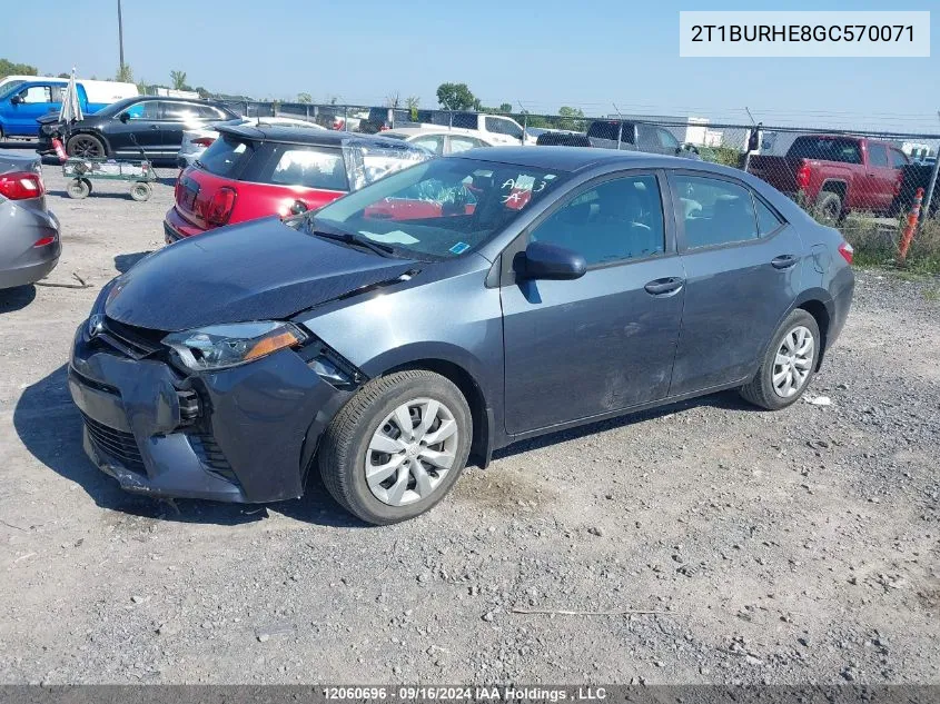 2016 Toyota Corolla L/Le/Le Pls/Prm/S/S Pls VIN: 2T1BURHE8GC570071 Lot: 12060696