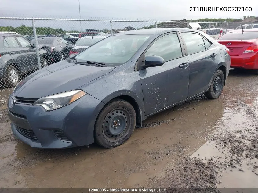 2T1BURHEXGC737160 2016 Toyota Corolla Le