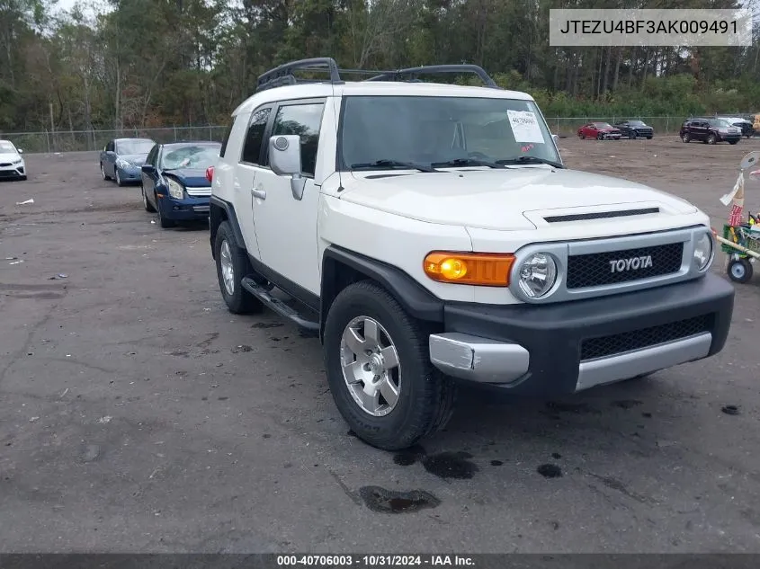 2010 Toyota Fj Cruiser VIN: JTEZU4BF3AK009491 Lot: 40706003