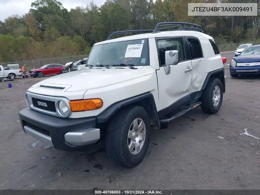 2010 Toyota Fj Cruiser VIN: JTEZU4BF3AK009491 Lot: 40706003