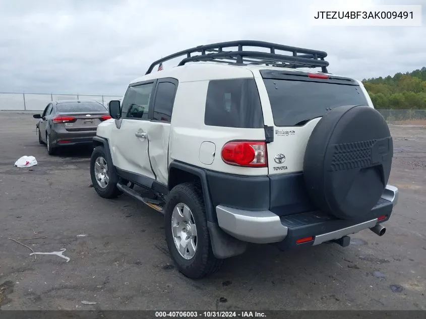 2010 Toyota Fj Cruiser VIN: JTEZU4BF3AK009491 Lot: 40706003