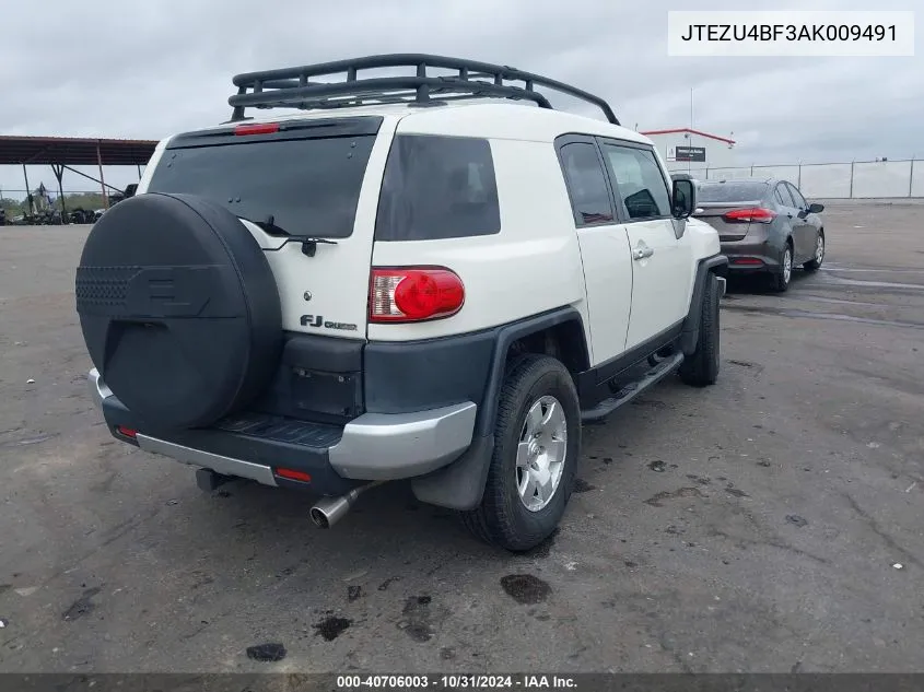 2010 Toyota Fj Cruiser VIN: JTEZU4BF3AK009491 Lot: 40706003