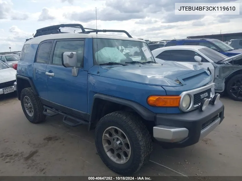 2012 Toyota Fj Cruiser VIN: JTEBU4BF3CK119610 Lot: 40647252