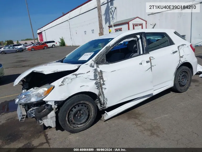 2009 Toyota Matrix VIN: 2T1KU40E39C184210 Lot: 40561509