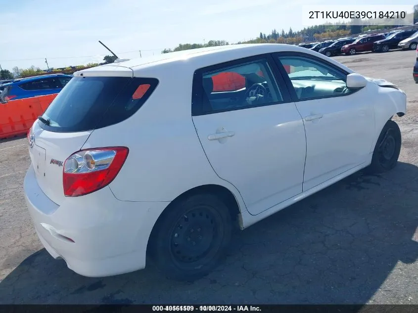 2009 Toyota Matrix VIN: 2T1KU40E39C184210 Lot: 40561509