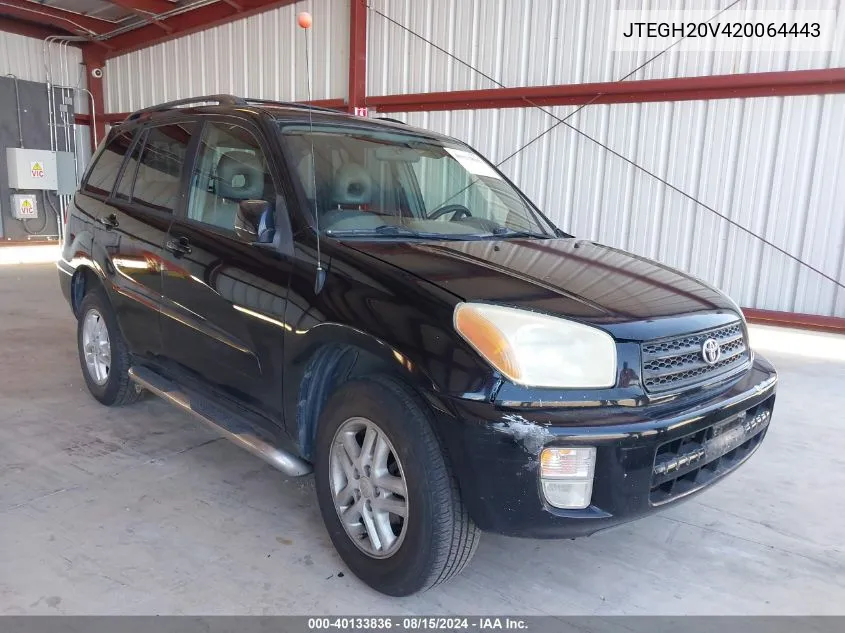 2002 Toyota Rav4 VIN: JTEGH20V420064443 Lot: 40133836