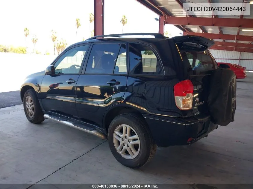 2002 Toyota Rav4 VIN: JTEGH20V420064443 Lot: 40133836