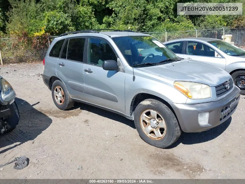 2002 Toyota Rav4 VIN: JTEGH20V620051239 Lot: 40263160