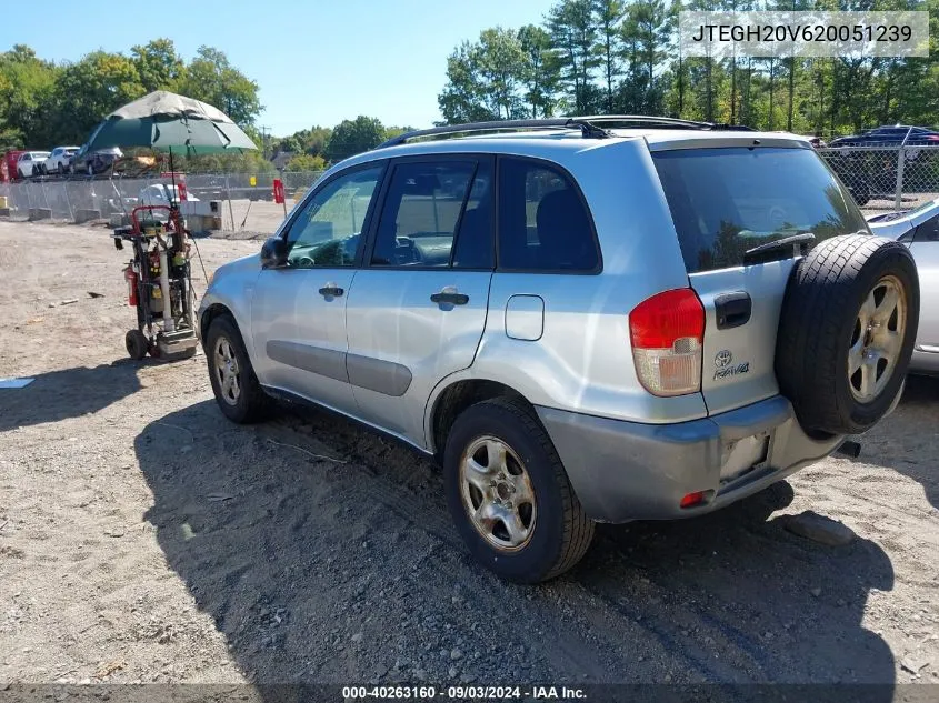 2002 Toyota Rav4 VIN: JTEGH20V620051239 Lot: 40263160