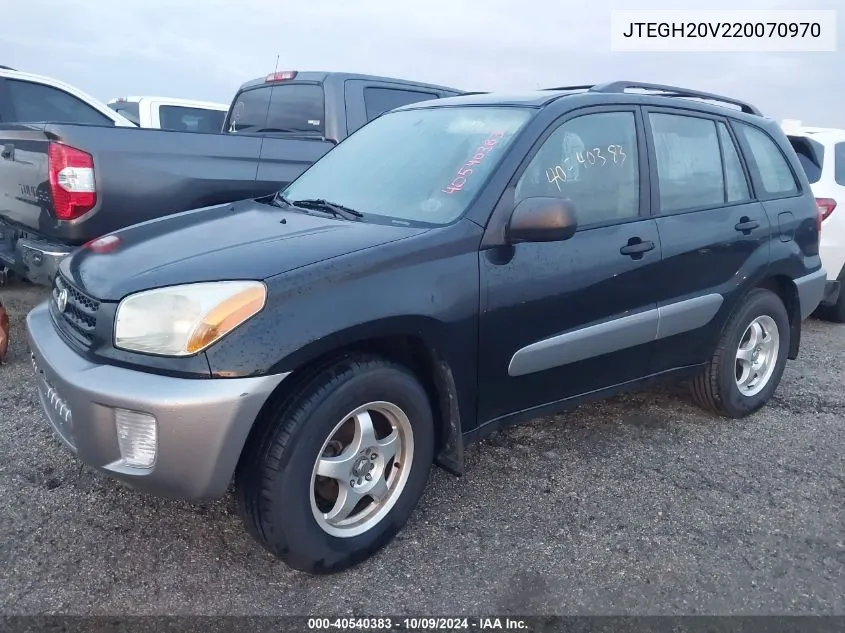 2002 Toyota Rav4 VIN: JTEGH20V220070970 Lot: 40540383