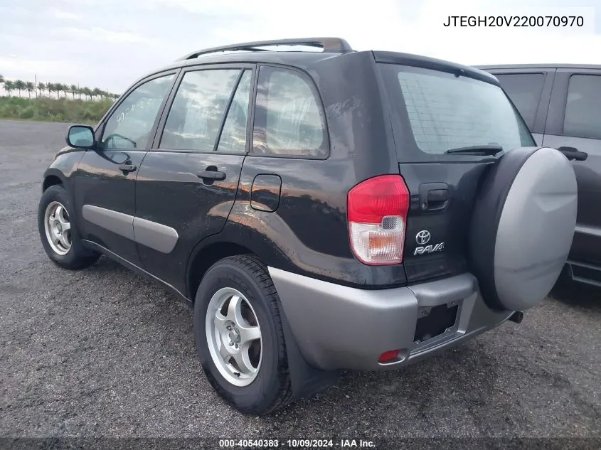 2002 Toyota Rav4 VIN: JTEGH20V220070970 Lot: 40540383