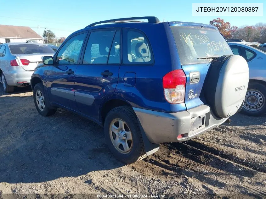 2002 Toyota Rav4 VIN: JTEGH20V120080387 Lot: 40821344