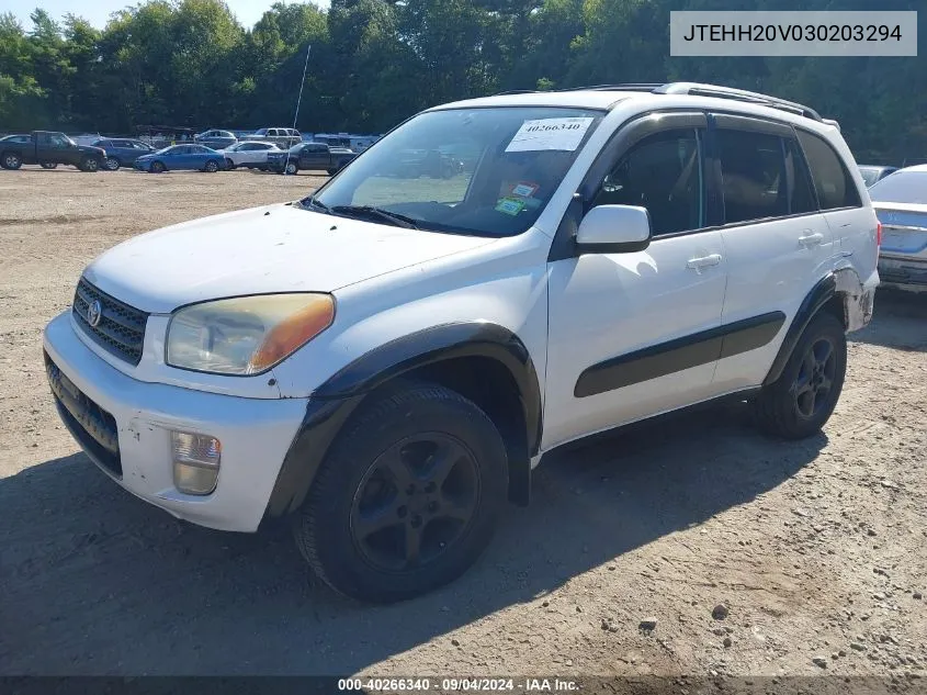 2003 Toyota Rav4 VIN: JTEHH20V030203294 Lot: 40266340