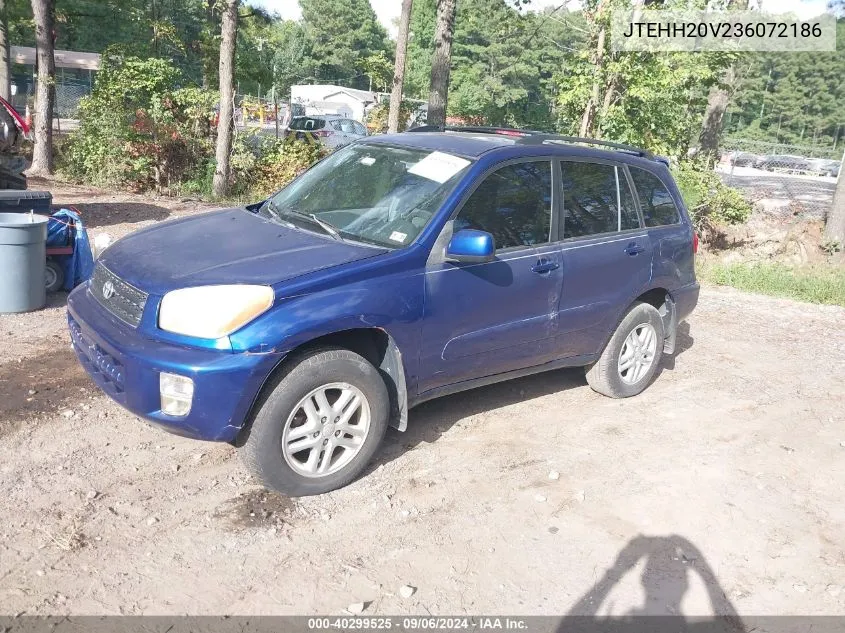 2003 Toyota Rav4 VIN: JTEHH20V236072186 Lot: 40299525