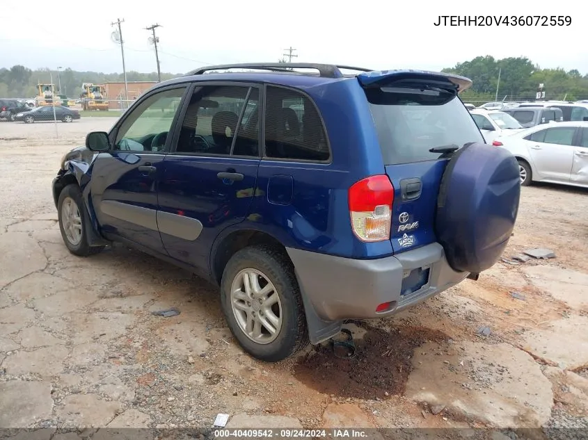 2003 Toyota Rav4 VIN: JTEHH20V436072559 Lot: 40409542