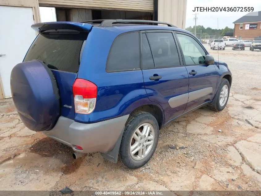 2003 Toyota Rav4 VIN: JTEHH20V436072559 Lot: 40409542