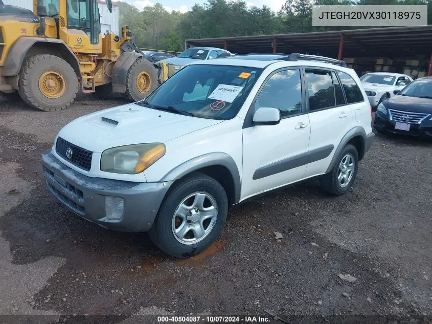 2003 Toyota Rav4 VIN: JTEGH20VX30118975 Lot: 40504087